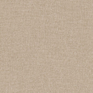 137 Π3 ΑΜΜΟΥΛΙΑΝΗ