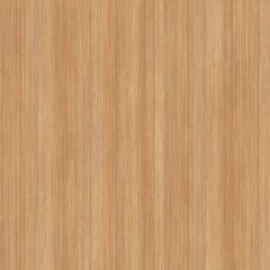 883 Π6 ΕΔΕΣΣΑΙΟΣ