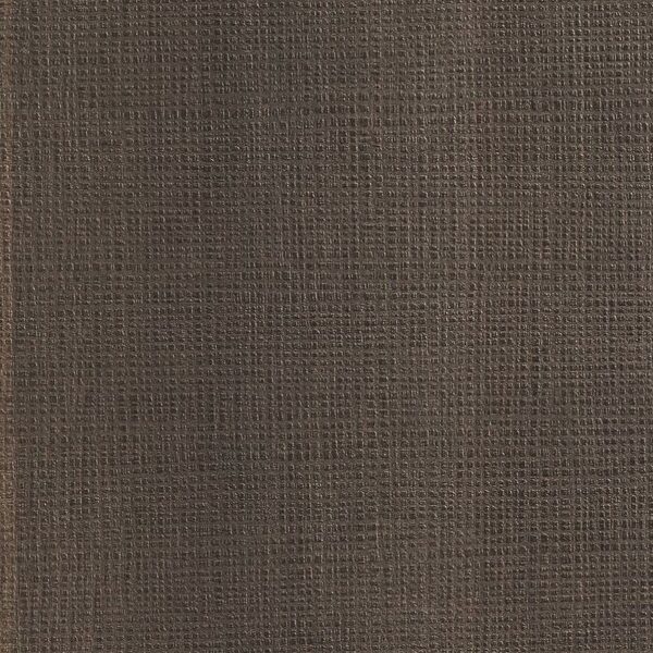 Cleaf_LN03_Nadir-600x600 LN03 Nadir