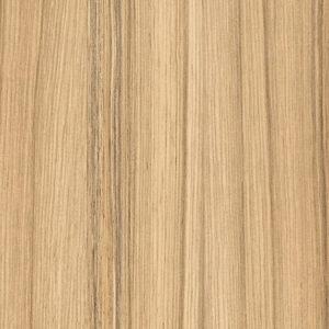 H3012 ST22 Coco Bolo