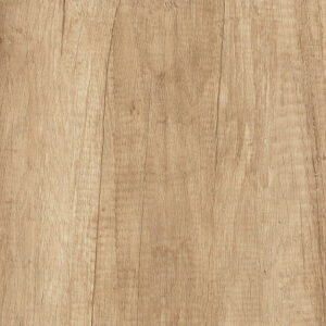H3331 ST10 Nebraska Oak