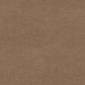 F323 ST20 Cobra Bronze