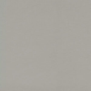 F765 ST20 Brushed Silvergrey