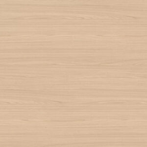 H1204 TM22 Light Natural Lugano Ash