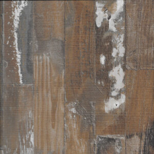 D3171SWC ΧΕΛΙΔΩΝΑ