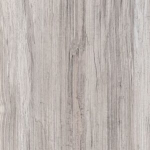 CH1873 Mekong Almendra