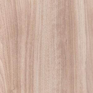 CH3009 Aurora Argentina Root