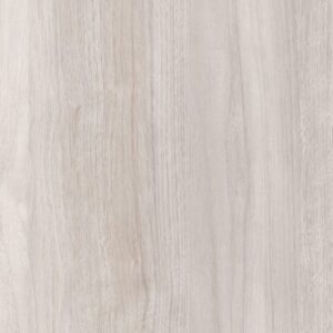 CH3010 Aurora Islanda Root