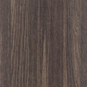 CH3029 Hidalgo Aragona Root