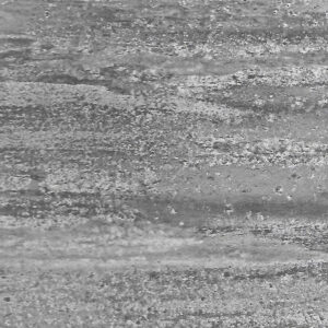 L5565PL ΛΕΠΕΤΥΜΝΟΣ