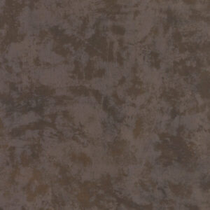 N005 Express Nirvana