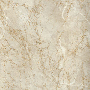 P6005ZO ΦΑΛΑΚΡΟ