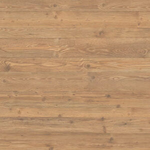 H011 STG8 Rustic Nebrodi Spruce