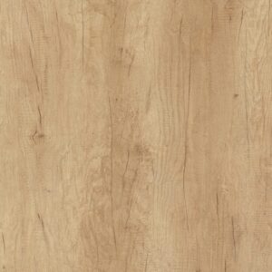 H3331 ST10 Nebraska Oak