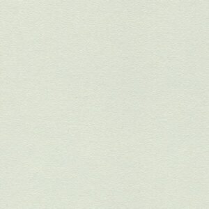 CDF U191 PE Interior Grey