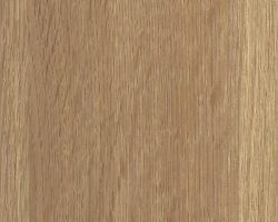 NEW AGE ΦΥΣΙΚΟ